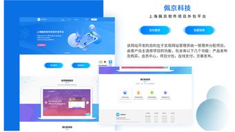 軟件項目外包網界面